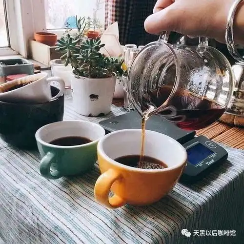 领进门手冲咖啡培训课,李治廷都来过的咖啡店欢迎你打卡