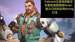 瓦洛兰特全网最全布雷吉breach劫境之地实战技巧实用闪光