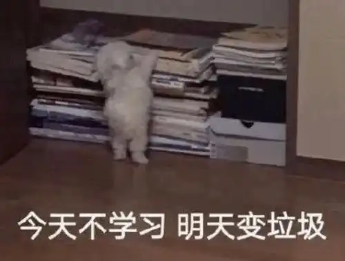 网课一年后,我竟然不能毕业了