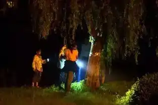 今天晚上我在莒县的小树林等你,不见不散暗号手灯长亮