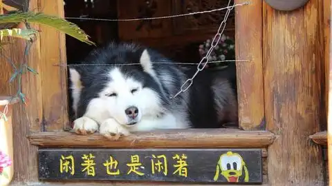 测试一个超长简介的文章