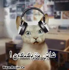 动物会不会有思想