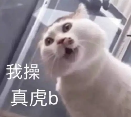 网友小时候干的傻逼事,笑死我了哈哈哈哈哈哈哈哈哈哈哈哈哈哈