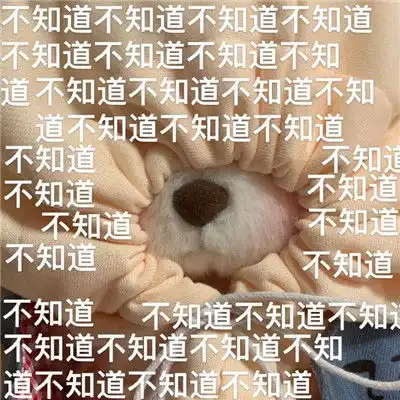 超级可爱的莉娜熊表情包合集