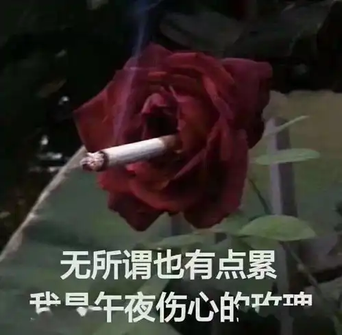 千万不要给宠物吃红心火龙果