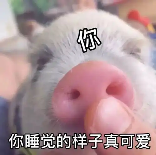 微信沙雕搞笑表情包喝杯热水一切都会好的