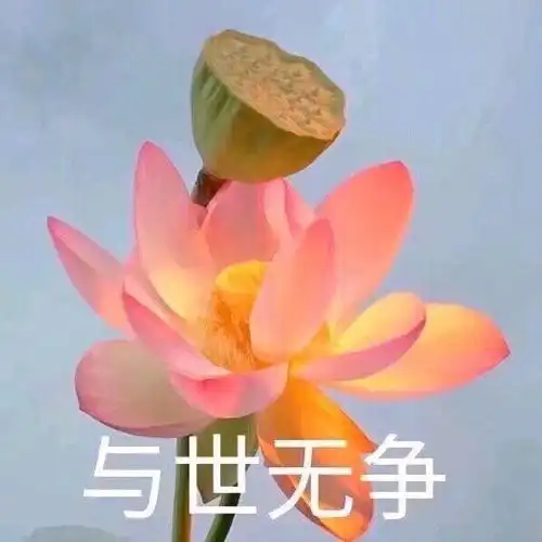 又没有三个人用的沙雕闺蜜头像