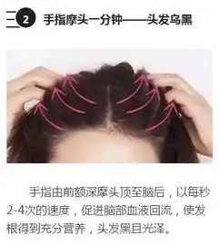 早上起床黄金10分钟,能让你多活10年学起来