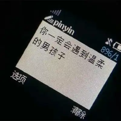 测试一个超长简介的文章
