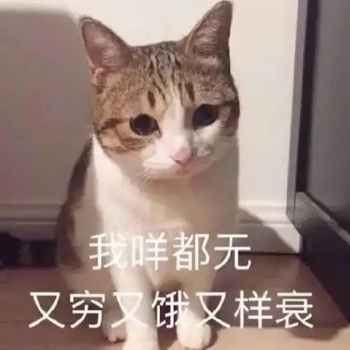 打开脏话按钮