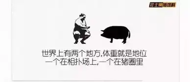 写文案,就要写搞笑的