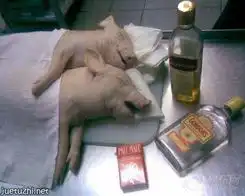 测试一个超长简介的文章