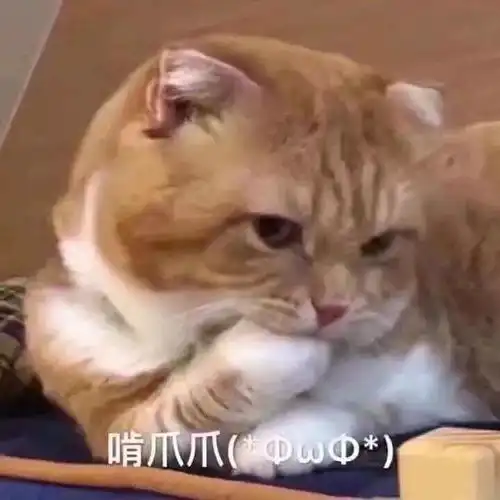 当沙雕猫咪表情包变成了小清新水彩画