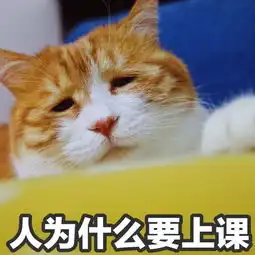 厌世脸是什么样的