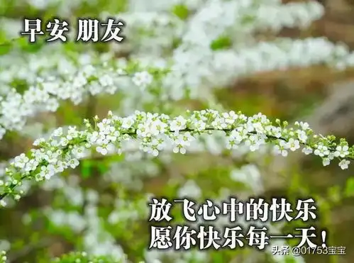适合老年人的群聊问安图片合集,拿走不谢