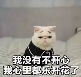 拍不中沪牌的有救了宁波上牌点被上海人挤爆
