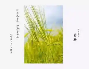 芒种闲来无事青梅煮酒,蓝光景致无其二