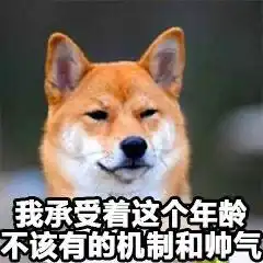 超级可爱的萌宠表情包,宠控一定会喜欢