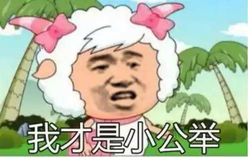 测试一个超长简介的文章