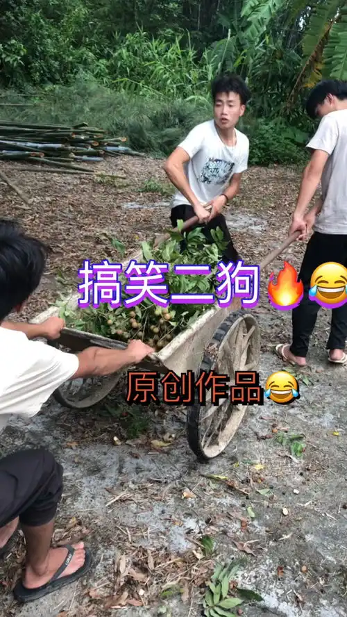 为了第一个镜头,全村的狗狗都得罪了搞笑视频原创作品爆笑视频