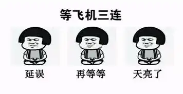 今天起在加拿大乘飞机航班延迟等最高可获赔2400