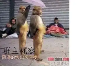 群主视察隐身的快出来迎接