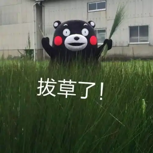 韩国最该看的剧其实是这些中毒性max