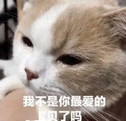 多图直击神兽回笼孩子开心家长舒心