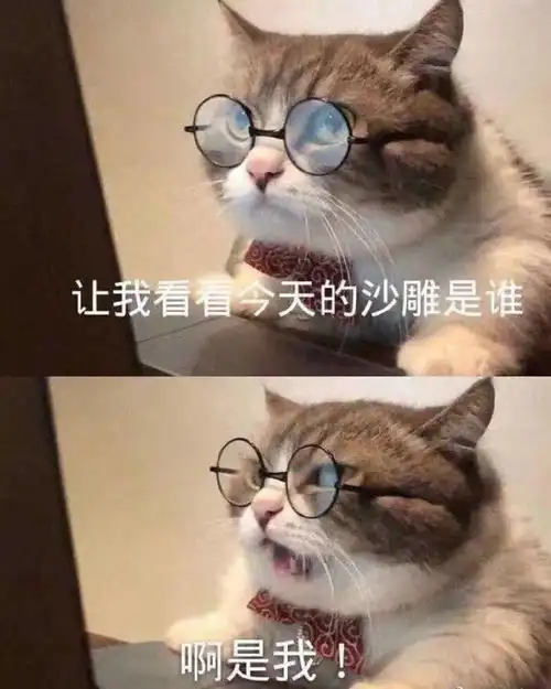 网易云里有什么沙雕搞笑的段子