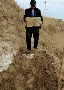 搞笑gif趣图为了钓鱼容易吗哈哈,看着石头掉下去我就放心了
