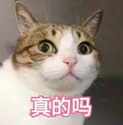 你长得,很符合面部美学标准