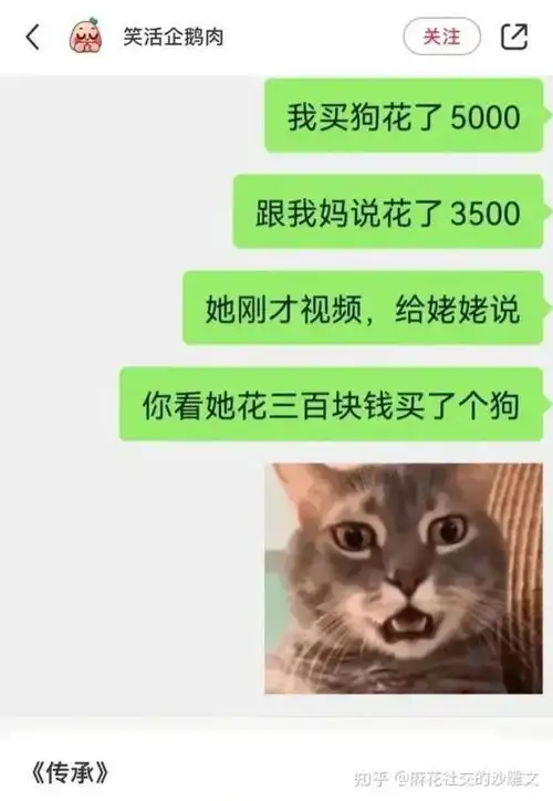 笑到肚子疼的网络热梗沙雕搞笑段子幽默图片