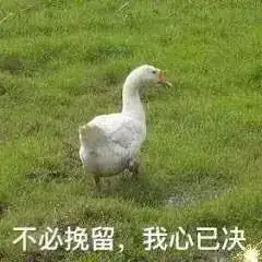 虾扯蛋没虾也没蛋,这不是瞎扯淡
