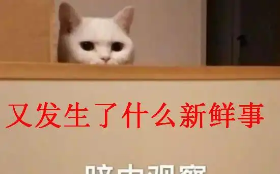 表情爸妈的表情包有多好笑网友今日份快乐源泉表情