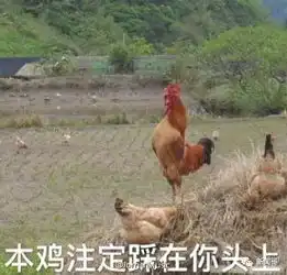 鸡年当然要用鸡的表情包啊有了这些图,新一年斗图王者就是你