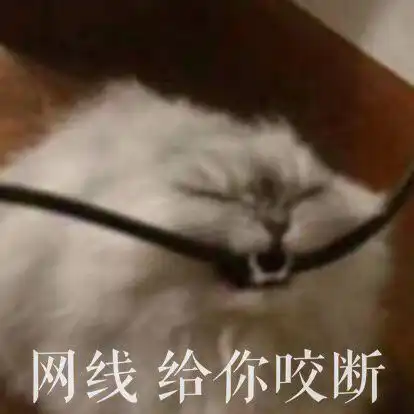 网易云里有什么沙雕搞笑的段子
