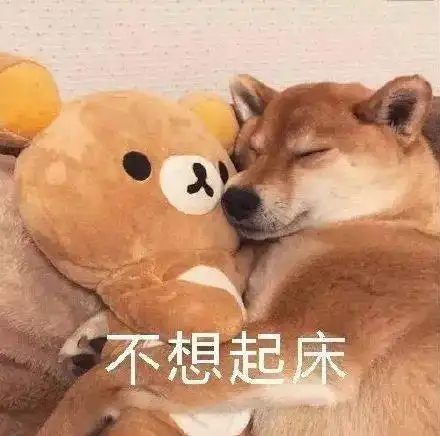 春困秋乏夏打盹,如何用英语形容睡觉这件大事儿