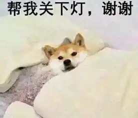 又双叒是一个情人节谁说单身狗今天过得不开心