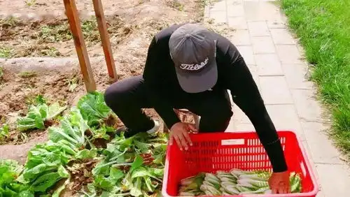 毕业生们请注意华夏幸福员工福利空投包即刻送达
