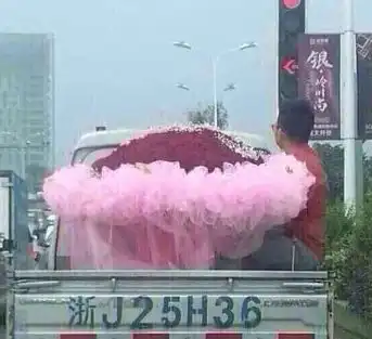 笑话段子搞笑图片情人节到了,快给女友送上一束这样的鲜花吧