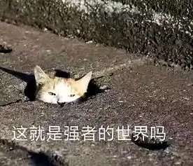 初雪强度怎么样啊