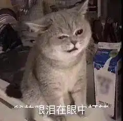 毛巾才用了一天,为啥就臭了