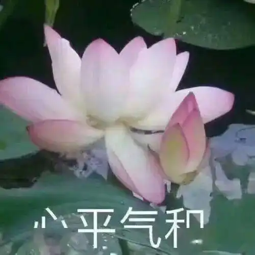荣成人的2020年工资价位出炉,涉及283个职业附工资价位表