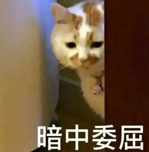 安徽丨刚买的新车没法跑了,驾证也没了男子直呼真不值啊