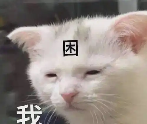 当你一不小心坐了猫咪最喜欢的位置