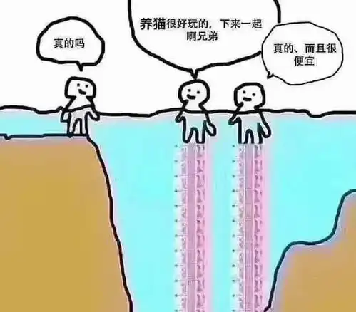 每日趣图现抓一只偷吃的肥猫