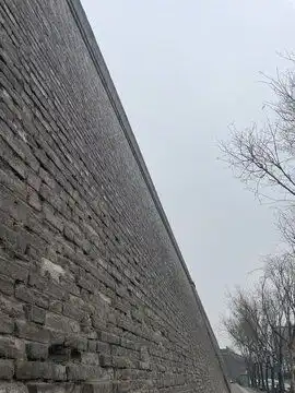 山上散养土鸡图片素材下载动物摄影素材下的家禽家畜图片素材