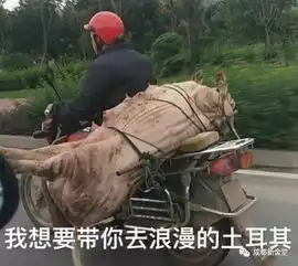在金堂读大学,是怎样一种体验
