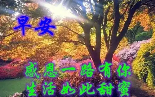 最美早安问候图片带字朋友圈唯美语录句子