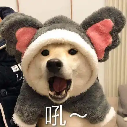 测试一个超长简介的文章